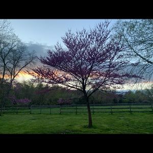 Meet your Posher, Nora